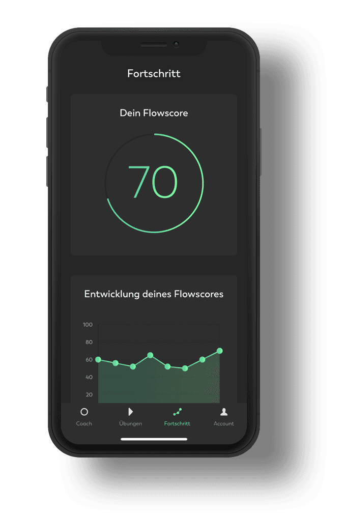 Your Flow Score