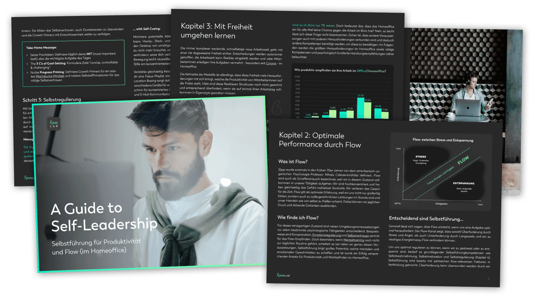 Praxis-Guide Preview